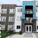 Untitled design - 10